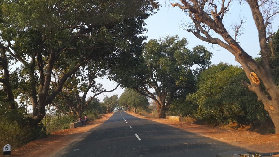 Tree-lined State Highway maintained by SSR Crest in Mahbubnagar district